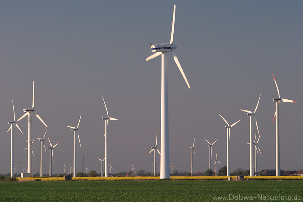Windradland Dithmarschen Windräder so weit das Auge reicht Windkraftwerke Foto