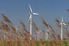 Windkraft Turbinen ber Grser Windmhlen Maste Landschaftsbild Dithmarschen Windkraftwerke