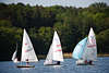 Seesegler Eutiner See Regatta Sportboote in Wasser segeln in Wind Naturfoto