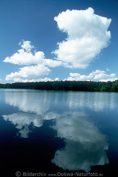 Ltjensee Gewsser Wolken Spiegelung in Wasser Seenlandschaft Naturfoto