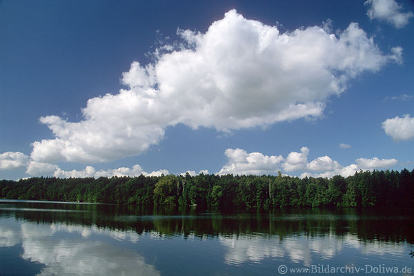 Lütjensee Wasserlandschaft Naturbild Schönwetterwolken Stimmungsfoto Ostholsteins