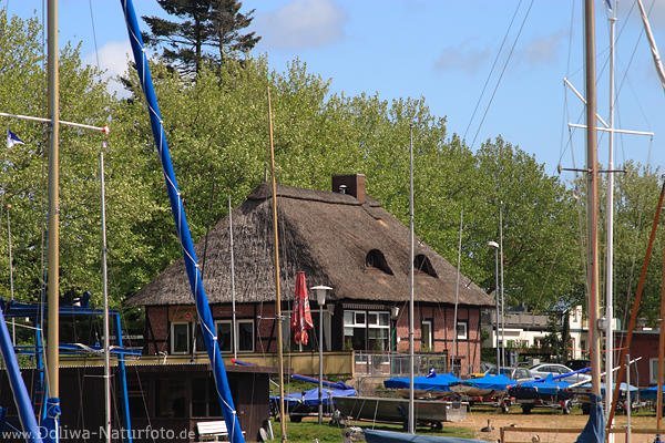 Port-Htte Reetdachhaus Plner See Ufer Segelboot-Maste Naturidylle am Wasser