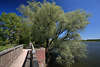 Postseeufer Wasser Wanderweg Sieversdorfer Brücke Grünbäume Landschaftsfoto