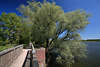 Postseeufer Wasser Wanderweg Sieversdorfer Brcke Grnbume Landschaftsfoto