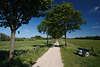 Postseefeldmark Wiesenlandschaft Feldweg Baumallee Naturfoto Schusteracht bei Preetz