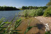 Preetz Seeufer Schilf grne Bucht mit Wellenschaum Wasserlandschaft Naturfoto