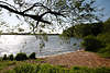 Preetz Postseebucht Baumzweig ber Wasser Seenlandschaft Romantik Naturbild