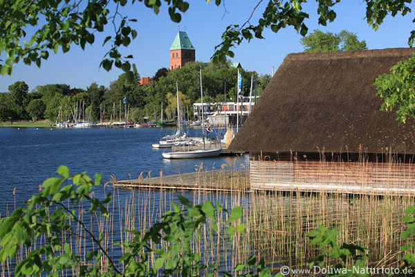 Ratzeburg See Wasserufer Frühlingsbild Hafen Hütte Schilf Naturidylle Dom-Blick