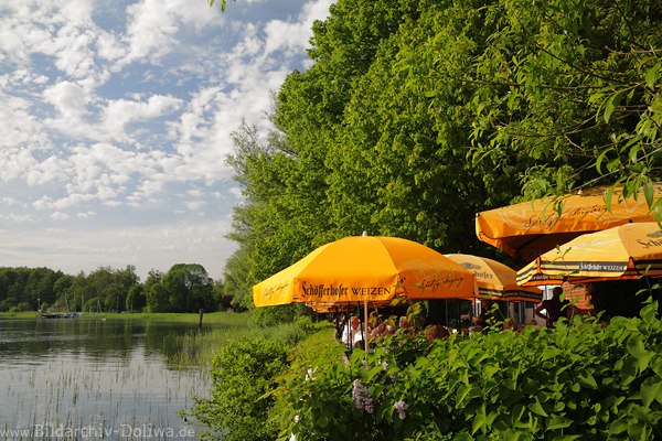 Grnoase Rothenhusen Seeufer Caf-Sonnenschirme Naturbild Fhrhaus Restaurant