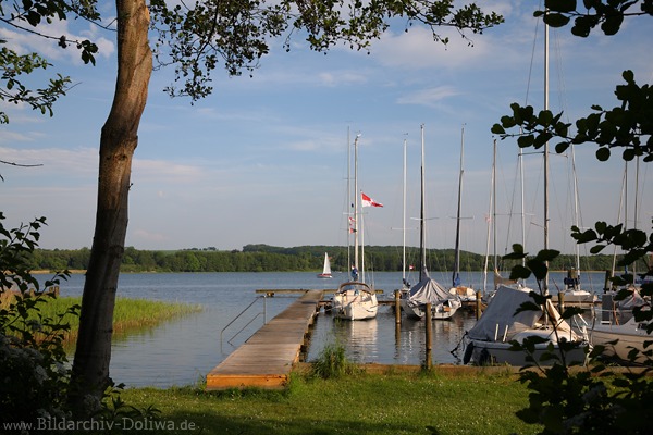 Rothenhusen Wasserufer Segelboote Grnoase Nordzipfel Ratzeburger See Naturbild