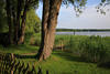Rothenhusen Grünufer Ratzeburger See Bäume Schilf Wasserblick Naturfoto