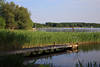 Rothenhusen Wasserufer Ratzeburger See Nordzipfel Bucht Grünoase Naturbild