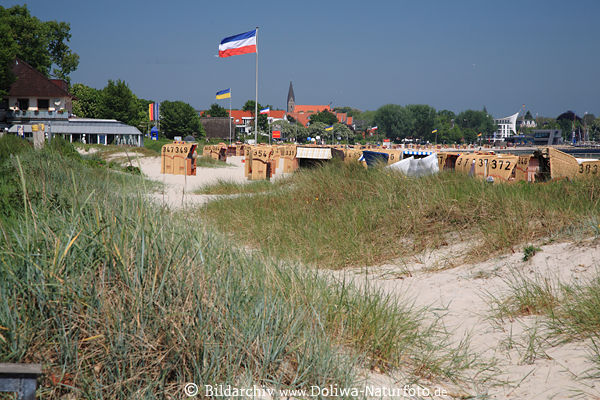 Sanddnen Strandhafer Eckernfrde Ostsee-Naturstrand Meerufer