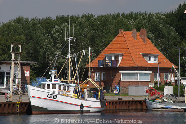 Burgstaaken Hafenidyll Fischerboote Haus am Wasser Kai Burger Binnensee Landschaft