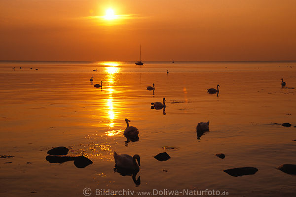 Sonne ber Meer-Wassertafel Ostsee Lichtkegel romantische Spiegelung Naturfoto Insel Poel