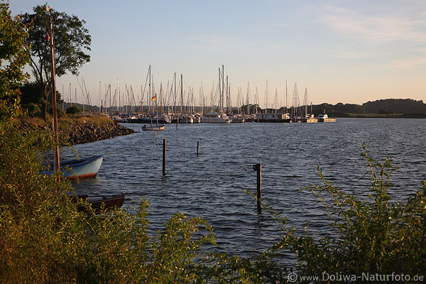 Maasholm / Schlei Fjordlandschaft Kste Wasserbucht Blick auf Jachthafen Segelboote