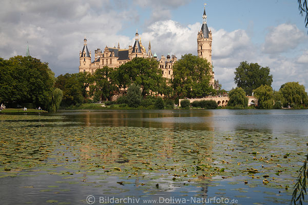 Burgsee Wasserlandschaft Naturbild vor Schloss Schwerin Grninsel im Land der Sieben Seen