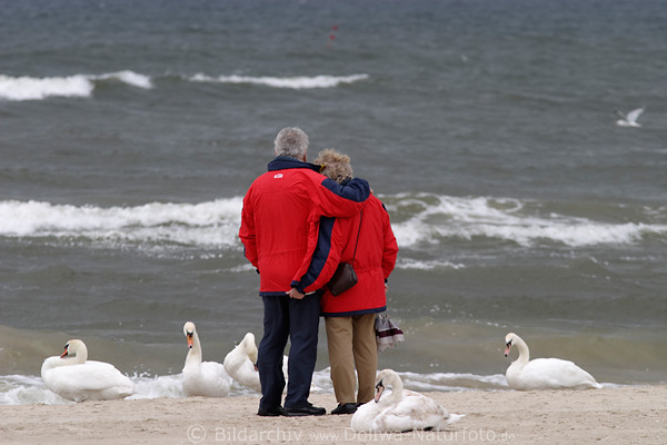 Ostseeufer Schwne Paar Urlauber Umarmung am Wasser vor Meerwellen