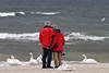 Ostseeufer Schwäne Paar Urlauber Umarmung am Wasser vor Meerwellen in Bild