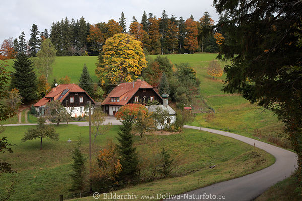 Klausen Husle am Pfistelwald Kapelle Wanderweg Kurve Herbst in Schwarzwald Berglandschaft