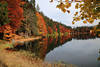 Feldsee Uferbäume Herbst Wasserlandschaft Naturbild Schwarzwald Wanderziel Naturfoto
