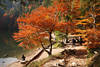 Feldsee Herbstfarben Naturfoto bunte Bäume am Wasserufer Schwarzwald Wanderer Ausflugsziel