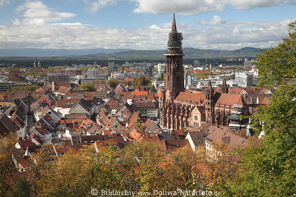 Freiburg Altstadt Panorama Fotografie mit Münster Breisgau Sehenswürdigkeit Schwarzwald Urlaub