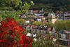 Wiehre Stadtdächer Landschaft Foto Freiburg Häuser in Natur Herbstfarben Blick vom Schlossberg