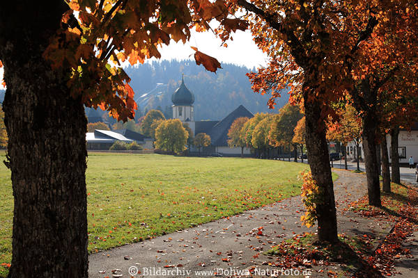 Schwarzwald Hinterzarten Allee Herbstbltter Landschaft Bume Grnwiese Kirche Skischanze Berg