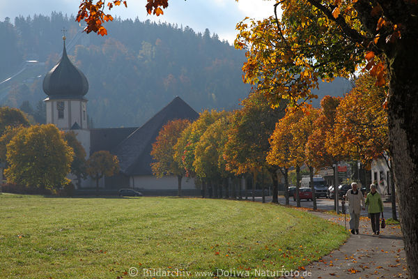 Schwarzwald Hinterzarten Kirche Baumallee Herbst-Landschaft Spazierpaar Grnwiese