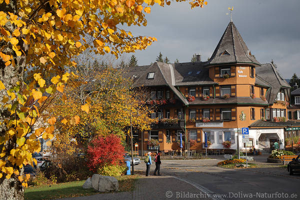 Hinterzarten Herbst-Landschaft in Schwarzwald Dorf bunte Farben schöner Hotel