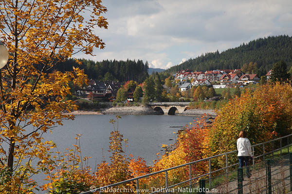 Schluchsee Wasserbrcke Ufer Landschaft Spaziergang in Schwarzwald Herbst Goldfarben