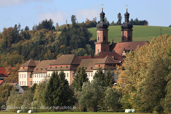 St. Peter Kloster Kirchtürme in Bäumen Natur Hochschwarzwald Berglandschaft