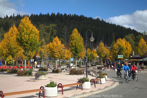 Titisee Bume Herbstfarben Landschaft Strae Radfahrer in Zentrum