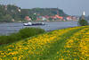 Elbe-Deichblüte Naturfotos Frühling vor Wasser Schiff Flussufer Lauenburg Elbstadtblick