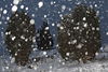 Schneeflocken fallende Schneeblle ber Bume am Himmel romantisches Winterfoto