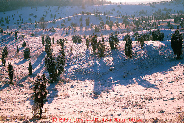 Schneebuckel Gegenlicht-Glitzer blaue Schatten Winterbild Sonnenschein Stimmung Naturfoto