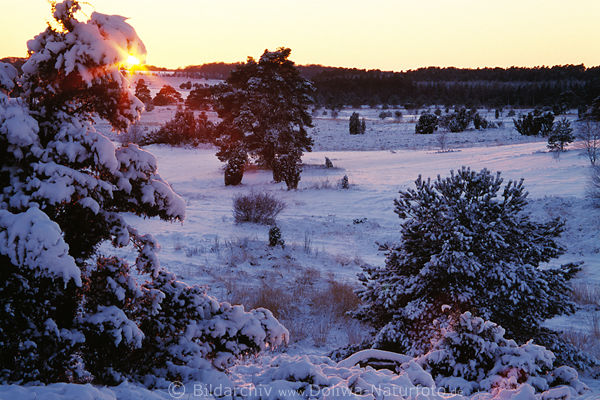 Sonne-Rotstrahlen Schneelandschaft Winterzauber romantisches Naturbild verschneite Bume