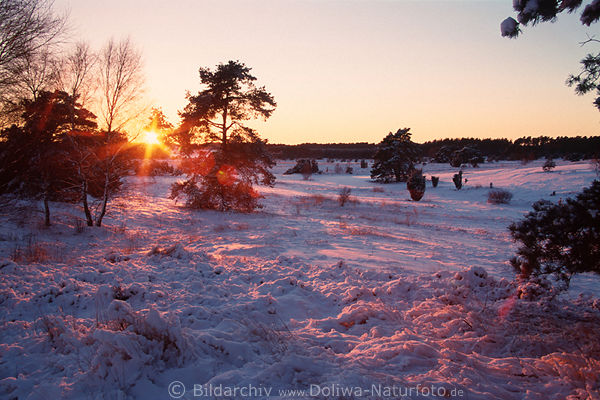 Sonnenuntergang Winterzauber rotgefrbter Schnee romantische Winterlandschaft Naturbild