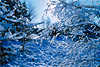 Sonnenglitzer um Eiszweige Gegenlicht-Fotokunst Frost Eisschnee Winterzauber Naturbild blaue Naturstimmung