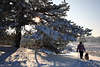 Schneegassi mit Hund gehen in Winterlandschaft Naturfoto Frau mit Vierbeiner Schneewandern