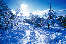 Winterfotokunst Sonne Gegenlicht Blauschnee romantisches Naturbild Winterlandschaft frostige Blaustimmung