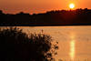 Raketau Ruppersdorfer-See Sonnenuntergang-Lichtstimmung Naturbild mit Wasservgeln
