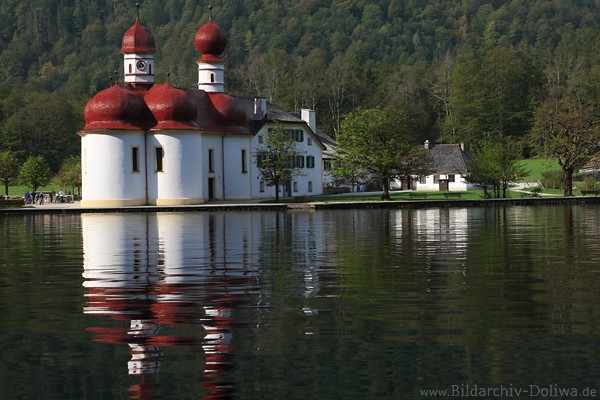 Wallfahrtskirche St. Bartholom Basilica am Ufer Knigssee Wasserlandschaft Foto