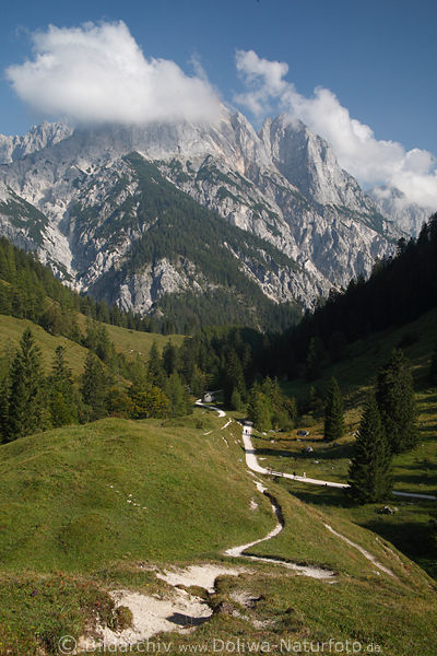 Reiteralpe Berggipfel ber Bindalm-Tal Grnwiesen Naturfoto geschlngelte Wanderpfade