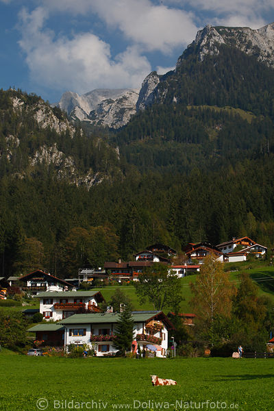 Bergdorf Huser am Hang Hochgipfel Landschaft Kuhwiese bei Knigssee Natur Landidylle