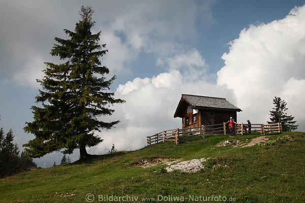 Toter Mann Berg Naturfoto mit Kieferbaum Bezoldhtte in Zaun Wander-Besucher