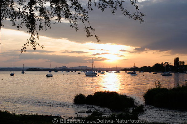 Gnadensee Sonnenuntergang in Allensbach Wasserlandschaft mit Segelbooten