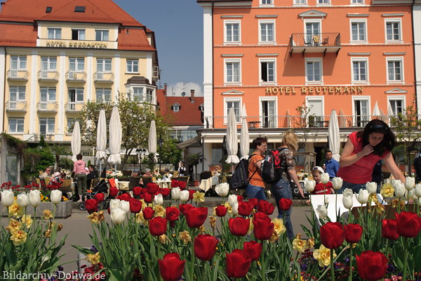 Blumenrabatte Lindau Hafenpromenade bunte Urlaubsidylle Foto Bodenseeinsel