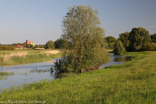 Bleckede Elbau Naturfoto Wasser Aulandschaft Elbdorf Wiesen Fernblick